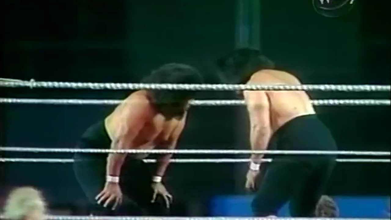 ** PLEASE READ NOTE** WWF Showdown At Shea - Aug 09 1980 - Shea Stadium, NY