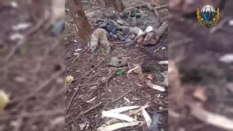 More piles of dead ukrops in Kursk region
