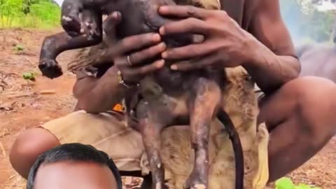 "Shocking! Africa-র খাবার সংস্কৃতি 😱🐒"