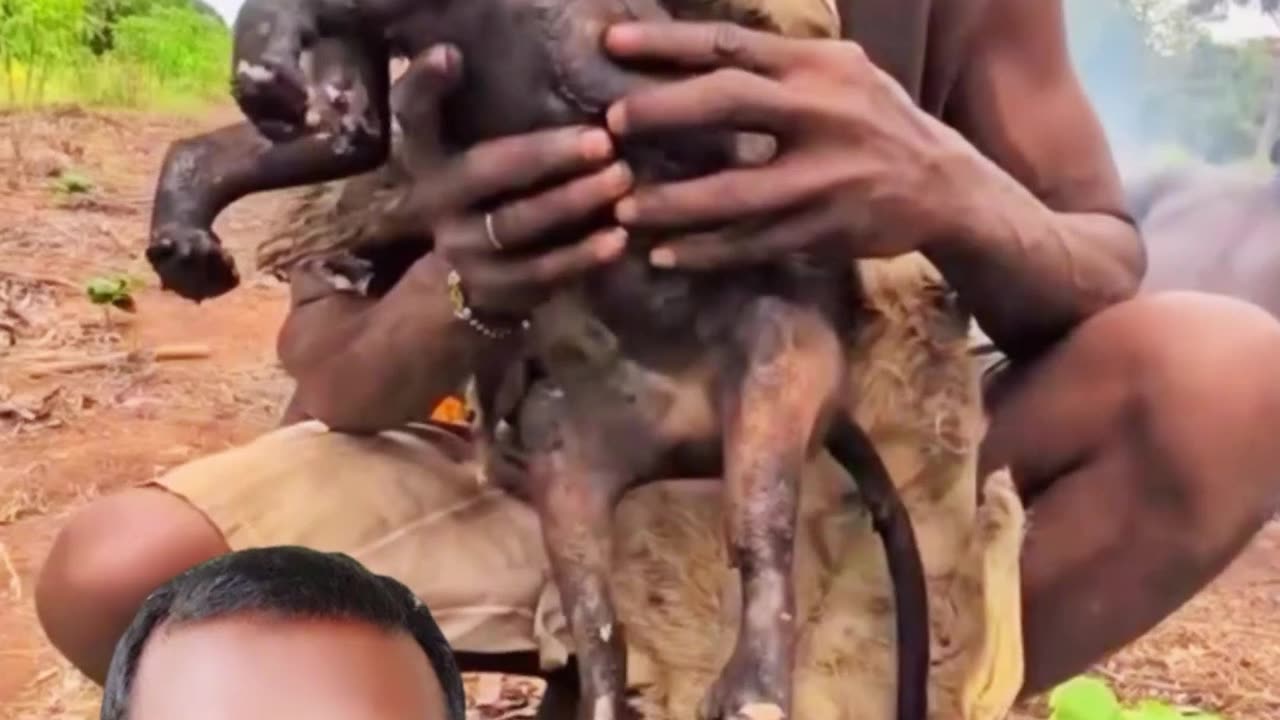 "Shocking! Africa-র খাবার সংস্কৃতি 😱🐒"