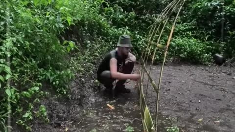 Camping Alone, Shelter In Heavy Rain
