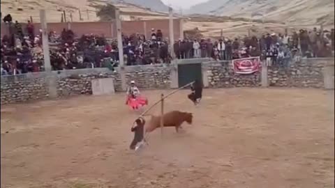 Funny video