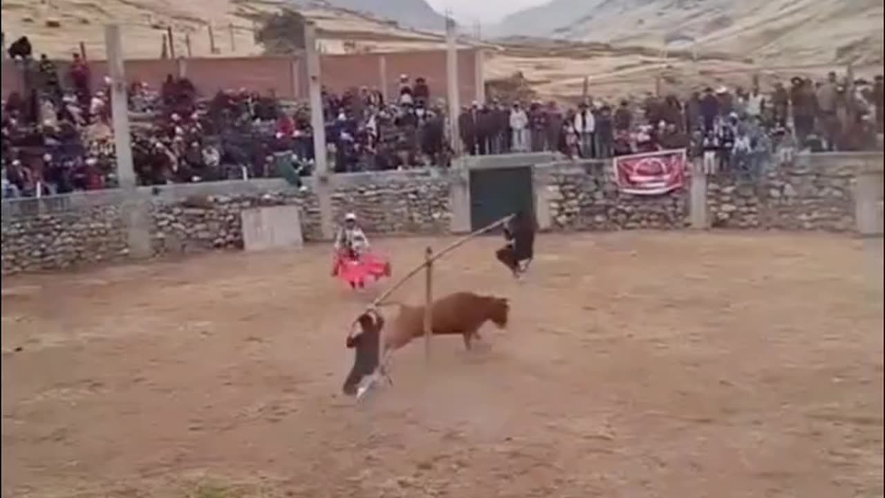 Funny video