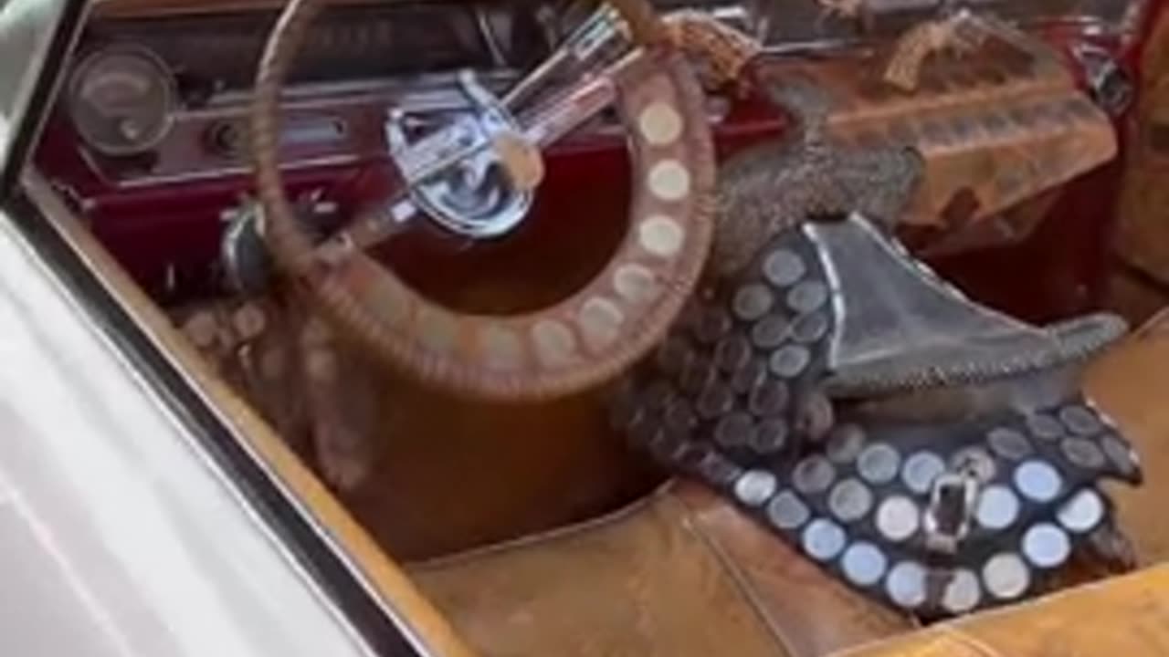 That is so America 👍😊