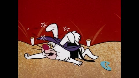 Boomerang Classic 24/7