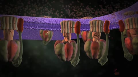 Molecular Machines - ATP Synthase: The power plant of the cell