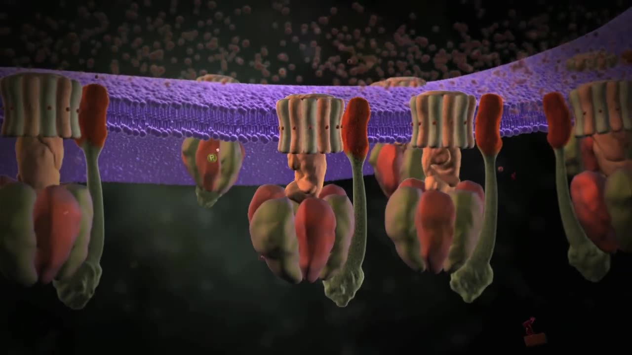 Molecular Machines - ATP Synthase: The power plant of the cell