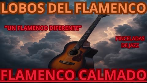 Flamenco Calmado