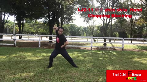 Aerobic Tai Chi Workout-013-Hand Chopping Blocking