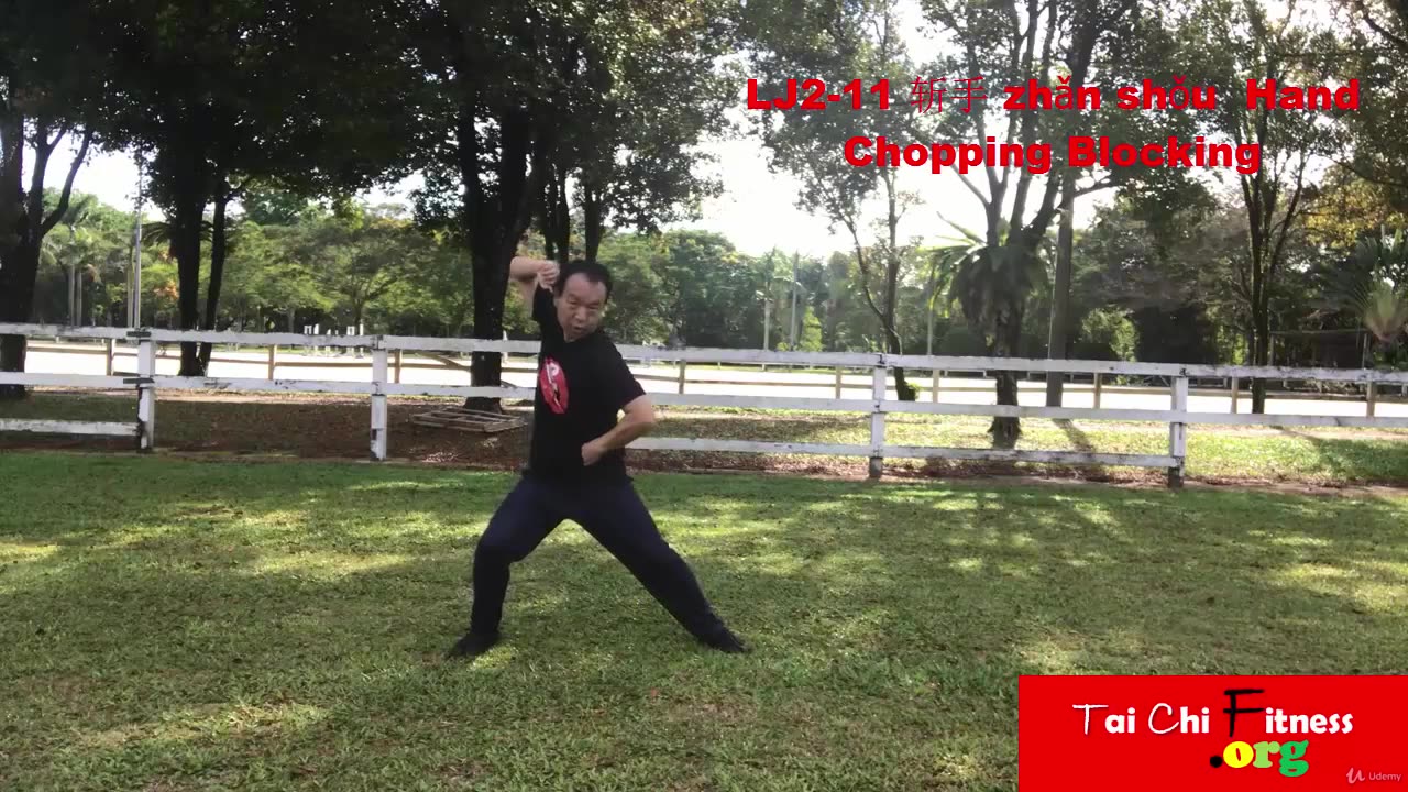 Aerobic Tai Chi Workout-013-Hand Chopping Blocking
