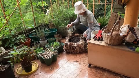 Cleaning Up The Creek Bed | Banana Leaf Weaving | Slow Living in The Colombian Countryside