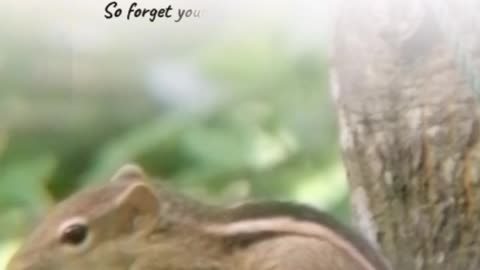 Funny short vedio