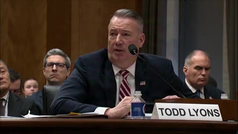 ICE Director confirms agents are held accountable for excessive force