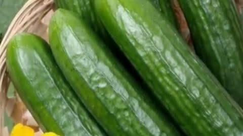 Four amazing benefits of eating ridge gourd