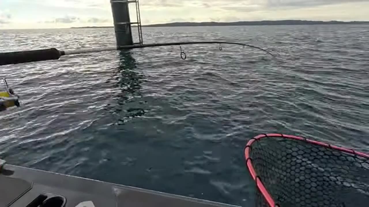 How We Caught a Mackerel on a BAIT JIG! Totally Unexpected (3)