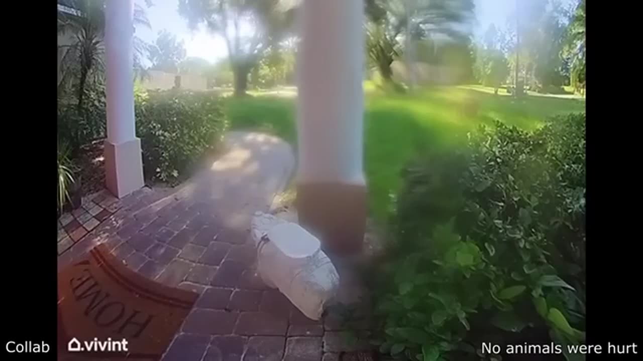 The Best Of The Internet (2022)