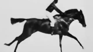 THE KIND OF VID RECORDED FOR THE HUMANS 1878