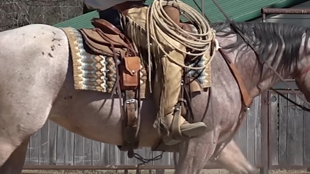 Trotting circles gets to be fun after you've had some success with it.