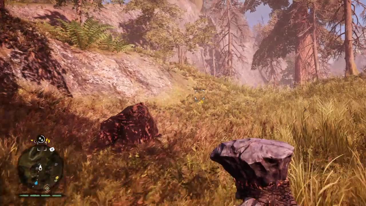 I have to conquer this forest with my pet bear and the owl