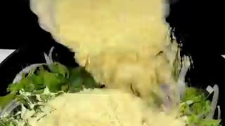 Instant Corn Pacoda