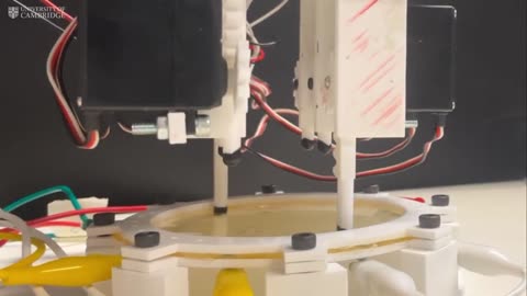 Cambridge researchers have developed electronic skin that allows robots to feel touch, pain, and temperature
