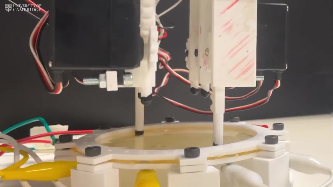 Cambridge researchers have developed electronic skin that allows robots to feel touch, pain, and temperature