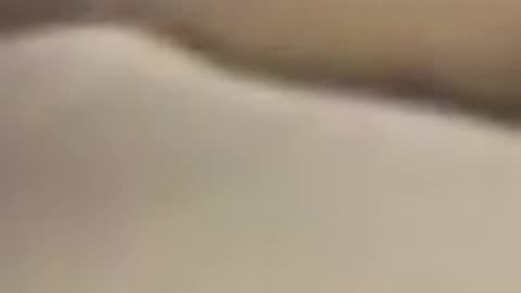 bartjebom 84 over Reza🤣