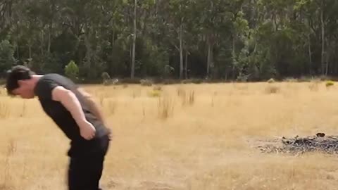 If animals did Parkour 😂 Part 4