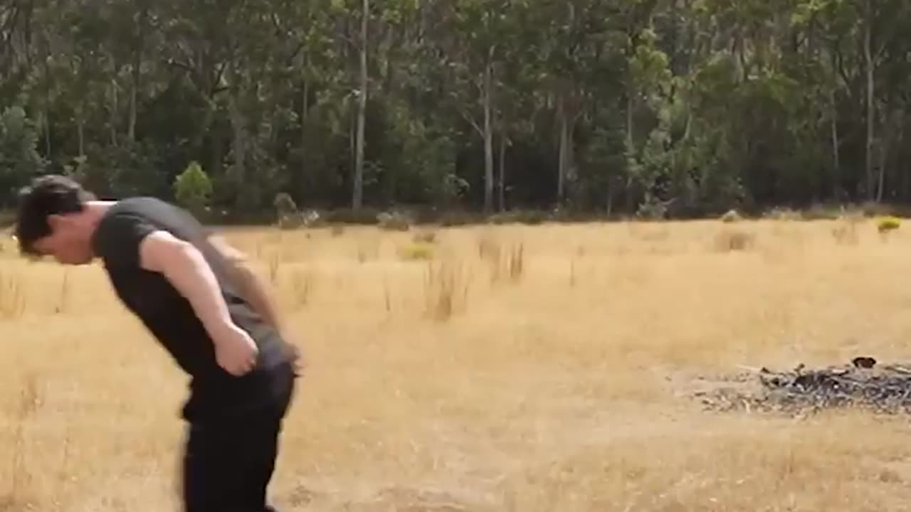 If animals did Parkour 😂 Part 4