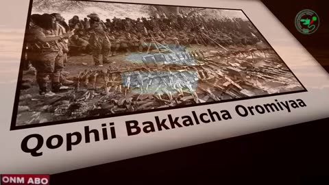 Qophii Bakkalcha Oromiyaa ONM-ABO Bitootessa 18-2025 itti dhiyaadhaa!