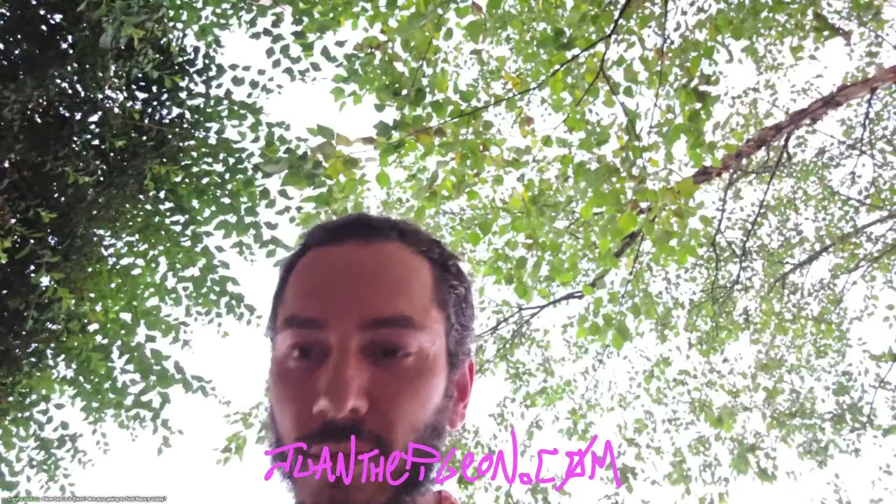 JTPFRAMINGHAM ON YT AND JUANTHEPIGEON ON KICK LIVE NOW!!!