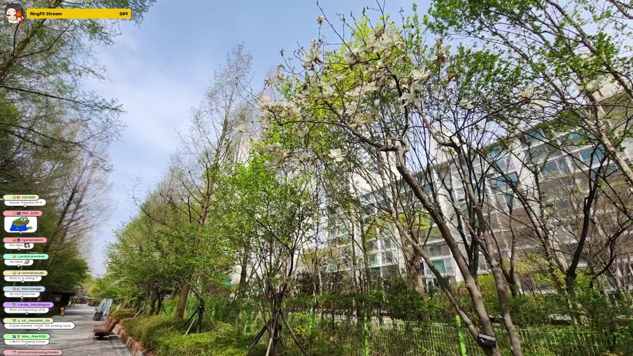 [4/11/25] Chill Walk under Cherry Blossoms in Tancheon 🌸 | !schedule