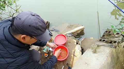 A Rainy Day Fishing for River Perch