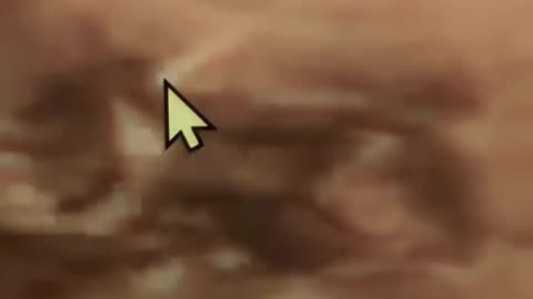 THEY LOOKED LIKE TENTACLES REACHING INTO THE SUN