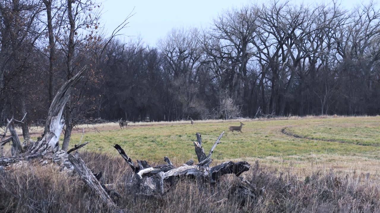 Eastmans' Hunting TV | Giant Montana Whitetails | Free Preview | MyOutdoorTV