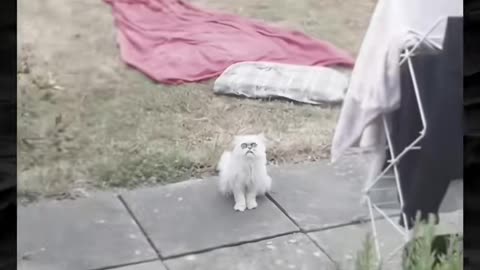 😱👻 The Mysterious Force Behind This Paranormal Encounter! Creepy Paranormal Videos | TheHauntingHour