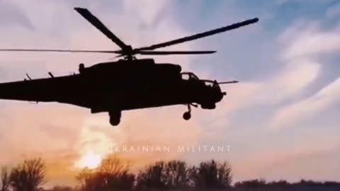 New Footage from Ukrainian Millitant