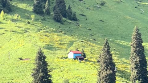 Lonely House Far From Civilization