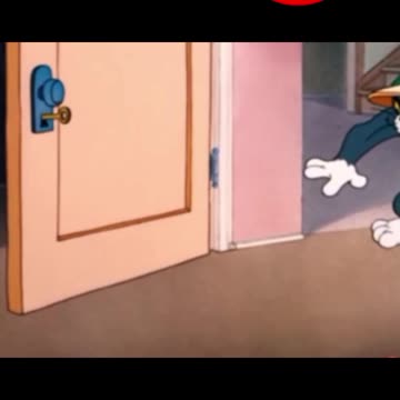 funny funny videos funny jokes funny animals funny memes funny movies funny bone funny pictures