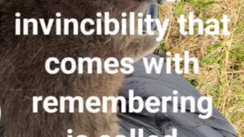 The feeling of invincibility that comes with remembering..