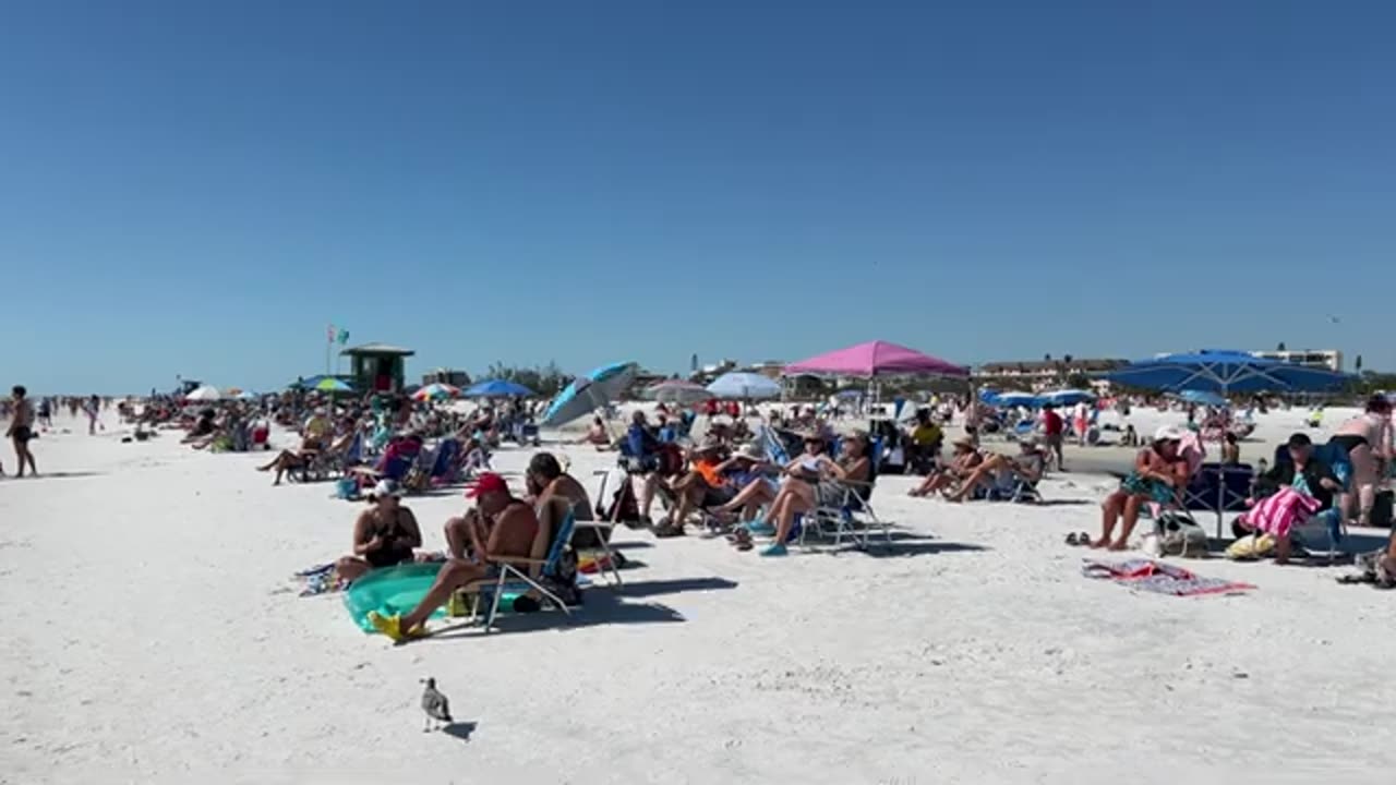 Siesta Key - Siesta Key Beach Sarasota Spring Break 2025 | 4K Beach Walk
