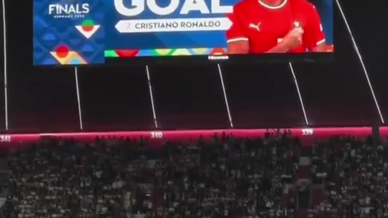 Simplemente el Bicho