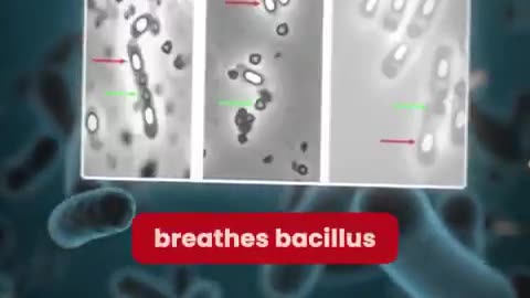 Never refrigerate this one food because it literally becomes toxic overnight