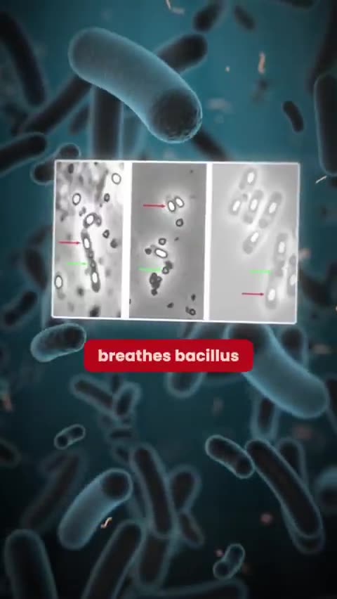 Never refrigerate this one food because it literally becomes toxic overnight