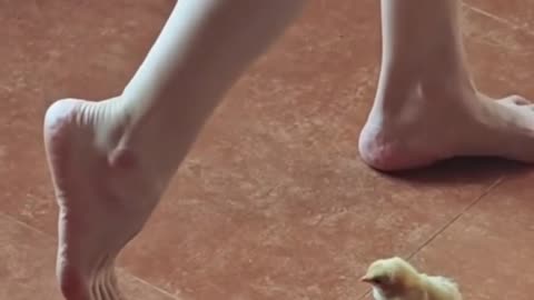 😂 You'll Be Amazed by This Tiny Dancer! | FunFM