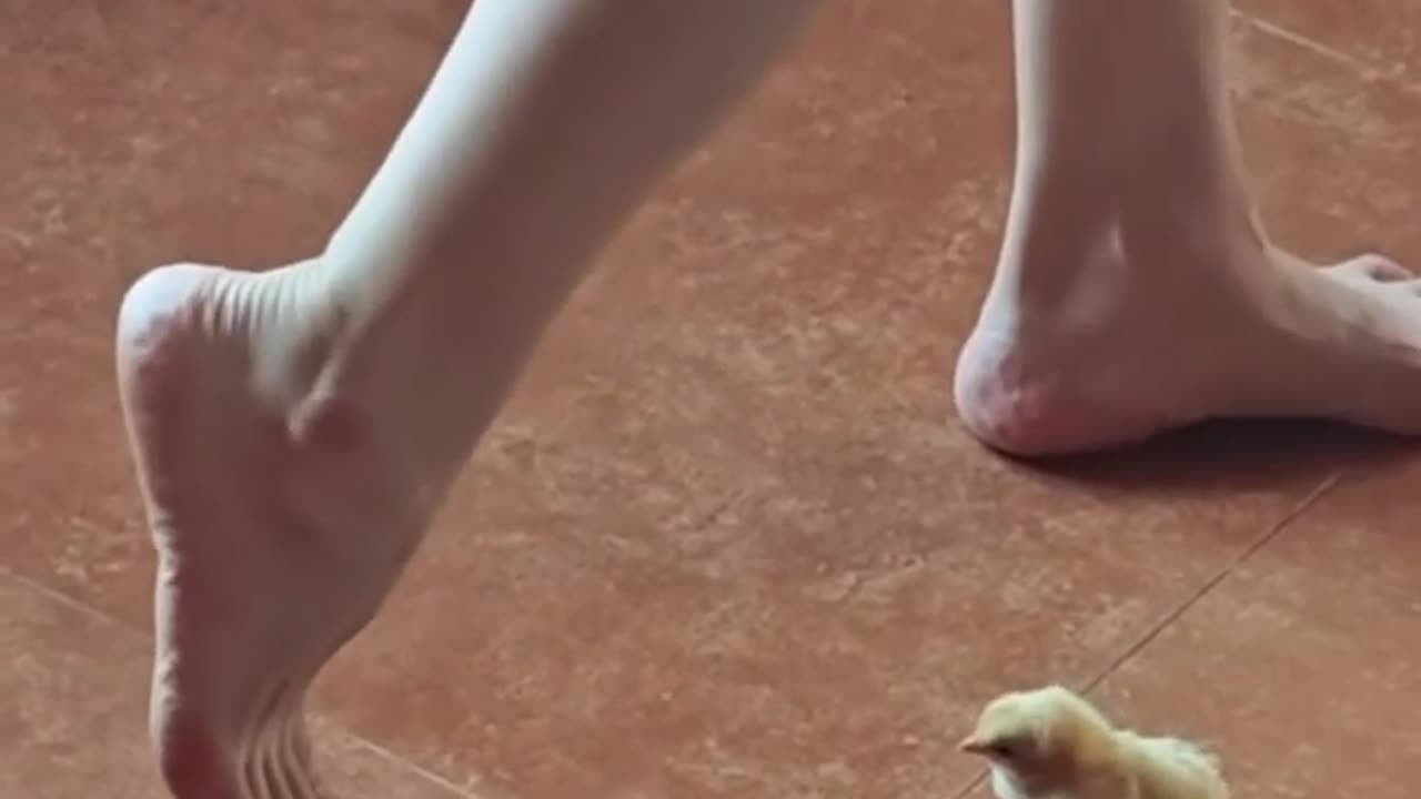 😂 You'll Be Amazed by This Tiny Dancer! | FunFM