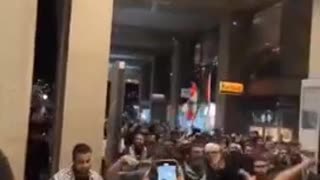 Parasites. The Ak-bars are looking for their pedophile Al-lah again in Sydney!