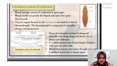 Plus Two Biology Chapter 15