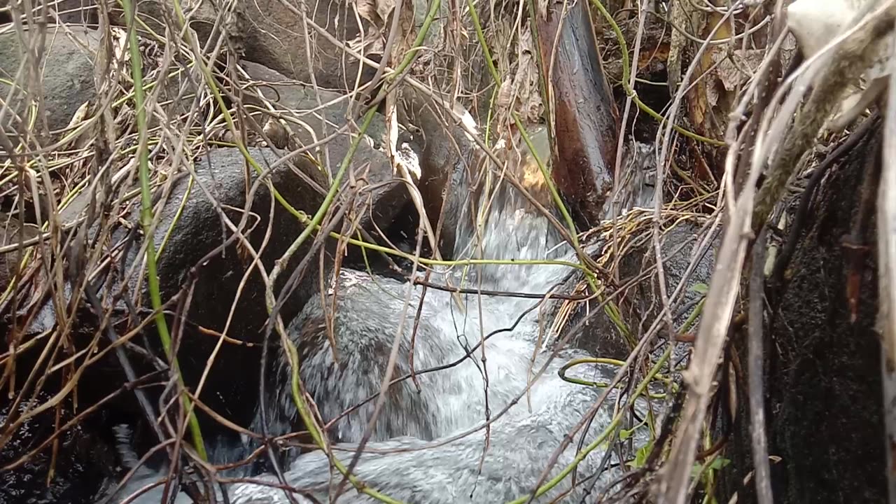 Tranquil River Flow Sound
