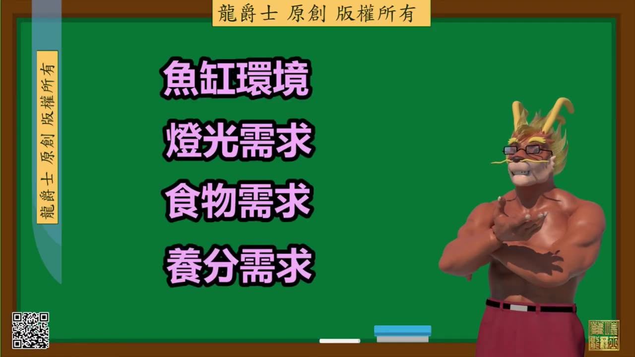 【龍爵士】龍魚百科 如何把龍魚養醜